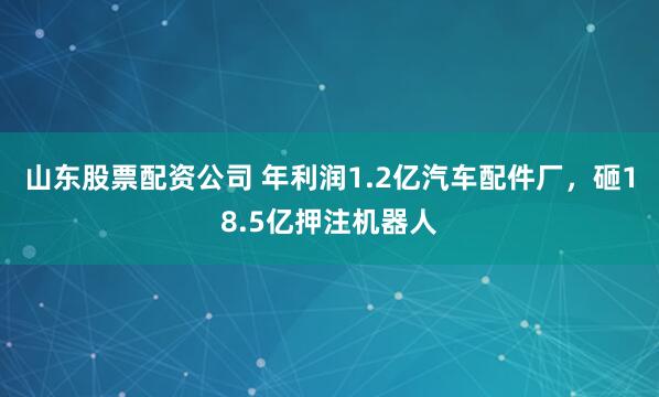 山东股票配资公司 年利润1.2亿汽车配件厂，砸18.5亿押注机器人